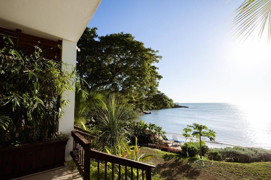 Ivy'S Cove Beach Side Condo - Luxury Villa Whitehouse Exterior foto