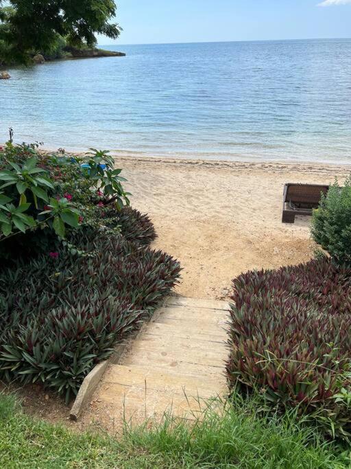 Ivy'S Cove Beach Side Condo - Luxury Villa Whitehouse Exterior foto